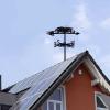 Classic Vintage Weather Vane with Rooster Ornament view 3