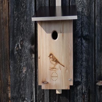 Premium Untreated Larch Wood Nesting Box for Great Tits, NABU-Style