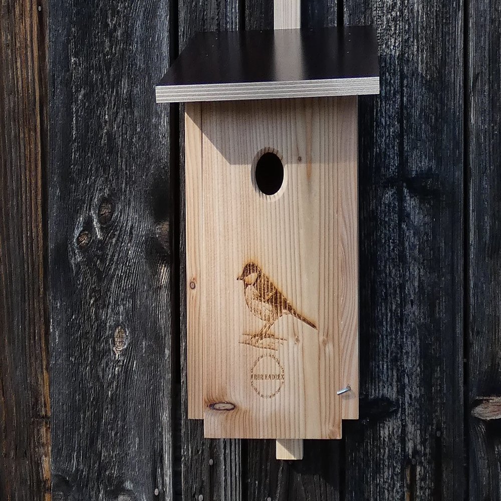 Premium Untreated Larch Wood Nesting Box for Great Tits, NABU-Style