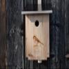Premium Untreated Larch Wood Nesting Box for Great Tits, NABU-Style view 1