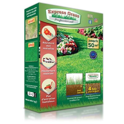 Professional Express Lawn – Cold- and Heat-Resistant, Dense Germination in 10 Days – All Climates (1 Box, 50M)