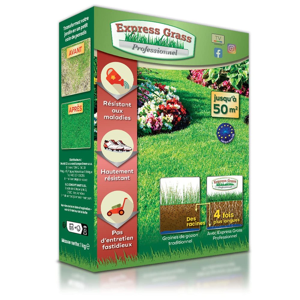 Professional Express Lawn – Cold- and Heat-Resistant, Dense Germination in 10 Days – All Climates (1 Box, 50M)