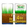 Professional Express Lawn – Cold- and Heat-Resistant, Dense Germination in 10 Days – All Climates (1 Box, 50M) view 2