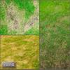 Professional Express Lawn – Cold- and Heat-Resistant, Dense Germination in 10 Days – All Climates (1 Box, 50M) view 3