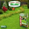 Professional Express Lawn – Cold- and Heat-Resistant, Dense Germination in 10 Days – All Climates (1 Box, 50M) view 4