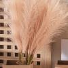 Eastuy Pampas Grass - Small Artificial Pampas Grass view 2