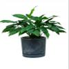 Round Tubo P Concrete Effect 240E Pot with Saucer - Marengo view 2