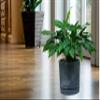 Round Tubo P Concrete Effect 240E Pot with Saucer - Marengo view 3