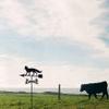 Roof-Mounted Metal Weather Vane for Outdoor Décor view 4