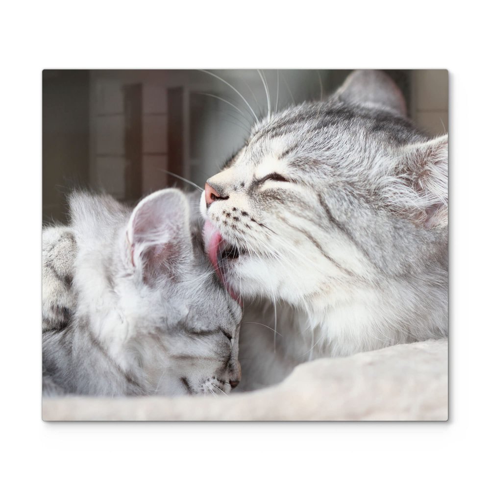 DEQORI Glass Stove Cover, One-Piece 60 x 52 cm, Loving Cat Wash Motif