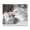 DEQORI Glass Stove Cover, One-Piece 60 x 52 cm, Loving Cat Wash Motif view 1