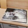 DEQORI Glass Stove Cover, One-Piece 60 x 52 cm, Loving Cat Wash Motif view 2