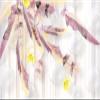 Pink Feather Ball 3D Photo Wallpaper, Nonwoven, 250 x 175 cm view 3
