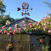IDEAX Metal Animal-Pattern Weather Vane, Wind Direction Indicator, Retro Garden Decor, Size 13 view 4