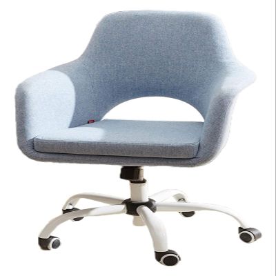 FLBT Ergonomic Office Chair, Padded Swivel Computer Work Chair