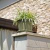 Euro3plast Medea Plant Pot Saucer, Rosemary, Plastic, 32 cm view 3