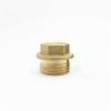 DOLUNTO Brass Elbow/End Cap/Plug/Nipple/T-Pipe Fitting, 1/8 to 1 in BSP Male Thread, Connector Adapter (Color: NO3, Size: 3/4 in) view 1