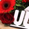Dekolando Personalized 55th Birthday Tabletop Decor Stand view 4