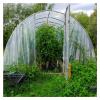 WIGING Clear Greenhouse Plastic Film, 8 x 14 m view 1