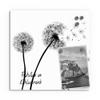 DEQORI Glass Magnetic Board | 30 x 30 cm | Black Dandelion Design | Glass Memo Board with Magnets, Marker & Cloth | Magnetic & Writeable for Kitchen & Office view 2
