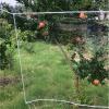Transparent PVC Cover, 10 m x 4.6 m view 3