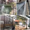 Transparent PVC Cover, 10 m x 4.6 m view 4