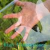 Tear-Resistant Transparent Tarp with Grommets and Rope, 2 m x 6.2 m view 3