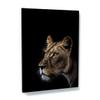 Sense Canvas Art Print, Black Lion Head 154, Home Decor, Wall Art, Poster, Painting, XL, 36 x 48 / 1.9 cm view 1