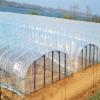 WIGING Clear Greenhouse Plastic Film, Waterproof Plant Film, Tear-Resistant Polyethylene Cover, 5 x 10 m view 4