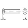 2 pcs. Button Head Screws ISO 7380-1 M3 x 25, T10, Fully Threaded, A2 view 2