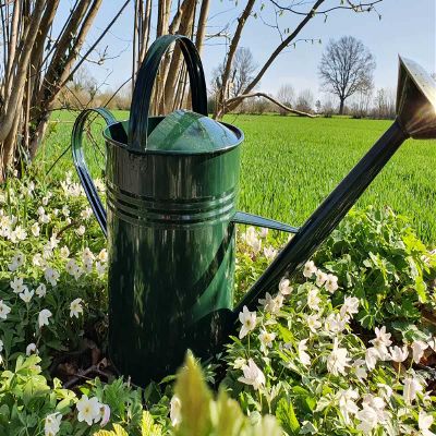 KUHEIGA Metal Watering Can, 10 L, Various Colors