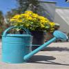 KUHEIGA Metal Watering Can, 10 L, Various Colors view 3