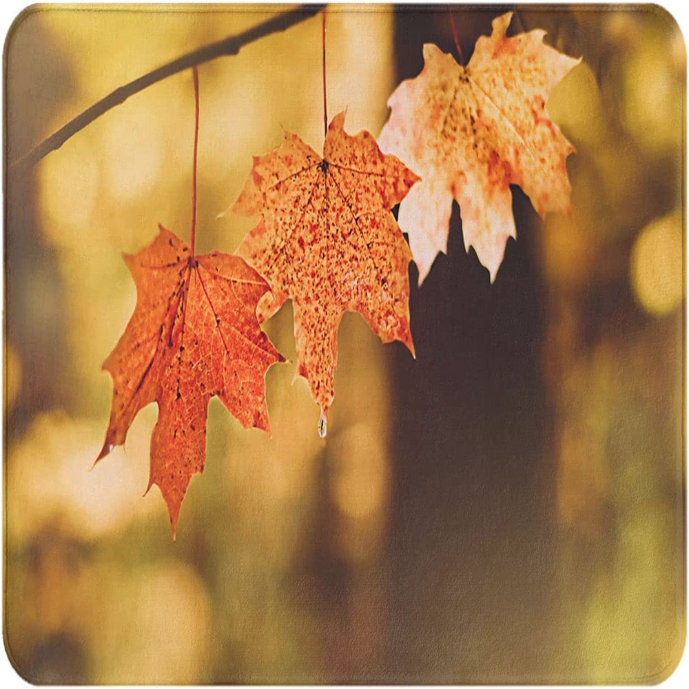 Torribala Non-Slip Bath Mat, Autumn Maple Leaves in Sunlight, 40 x 60 cm
