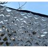 Xrdbfd Camouflage Sun Shade Net, Gray, 2x4/4x5/4x6/6x8/6x9 m view 4