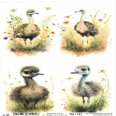 Josys Bastelmärchen A4 Rice Paper, Decoupage, Ostrich Chick RE1191