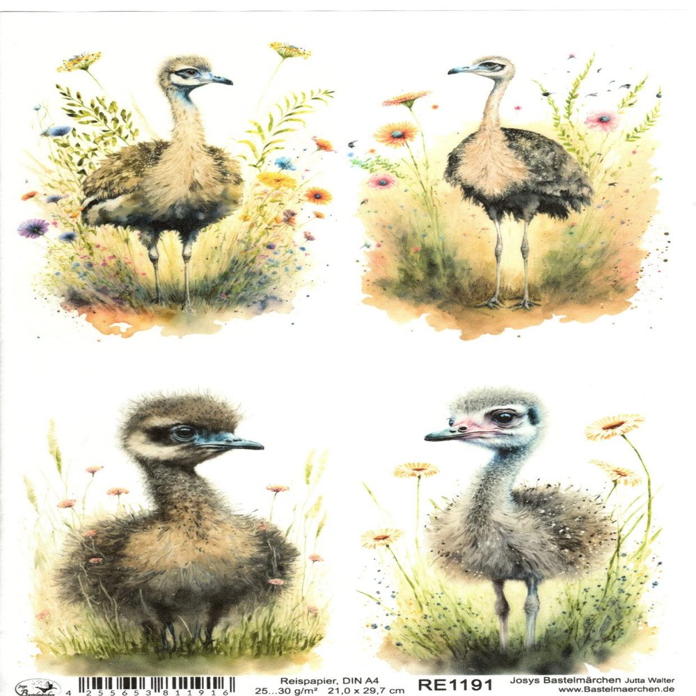 Josys Bastelmärchen A4 Rice Paper, Decoupage, Ostrich Chick RE1191
