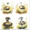 Josys Bastelmärchen A4 Rice Paper, Decoupage, Ostrich Chick RE1191 view 1