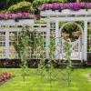 Metal Garden Trellis, Wire Grid Panels, Climbing Plant Support, 58 x 20 cm view 3