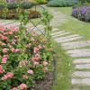 Metal Garden Trellis, Wire Grid Panels, Climbing Plant Support, 58 x 20 cm view 4