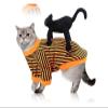 Halloween Pet Funny Black Skull Horror Makeup Costume, Black Cat Doll Orange/Black Suit, XL view 1