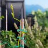 YARNOW Frog Plant Clips, 6-Piece Set, Flexible Vine Ties view 3