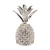 Rifuli Creative Crystal Ornament, Transparent Crystal Pineapple, Veranda Decor, Gift (C, One Size) view 1