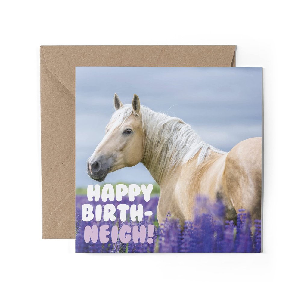 1 x Horse and Pony Lavender Field Greeting Card, Happy Birthday Neigh Pun, Funny Card for Wife, Partner, Mom, Dad, Girl, Boy or Friend #79745