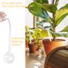 mizikuu 6-Pack Plant Watering Globes, 26 x 8 cm, Automatic Watering view 3