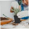 Alipis 20-Piece Plastic Pots for Succulents with Drainage Holes, Seedling Pots for Indoor and Outdoor Use view 4