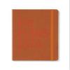 Letts of London Big Plans A5 2024 Diary, Rust view 1