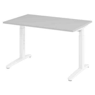 bm Manual Height-Adjustable Desk 120 x 80 cm, Gray with White Frame