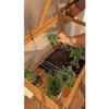 Grindi Abelia Cold Frame Greenhouse with Wooden Cover, 90 x 50 x 93 cm view 3