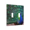 Unbreakable Medium Outlet Cover, Impact-Resistant Switch Plate view 2