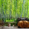 WallArena Non-Woven Photo Wallpaper, 416 x 254 cm view 4